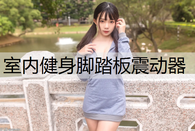 室内健身脚踏板震动器