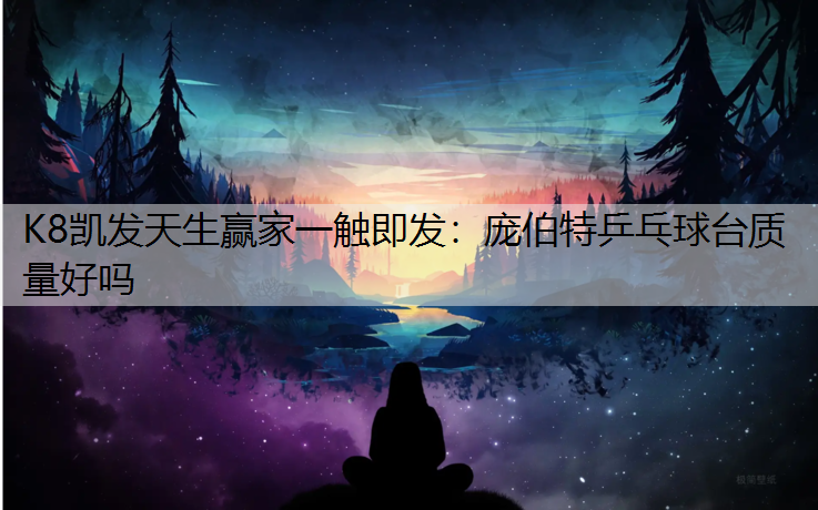 K8凯发天生赢家一触即发：庞伯特乒乓球台质量好吗
