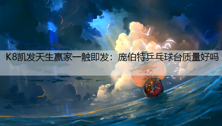 庞伯特乒乓球台质量好吗